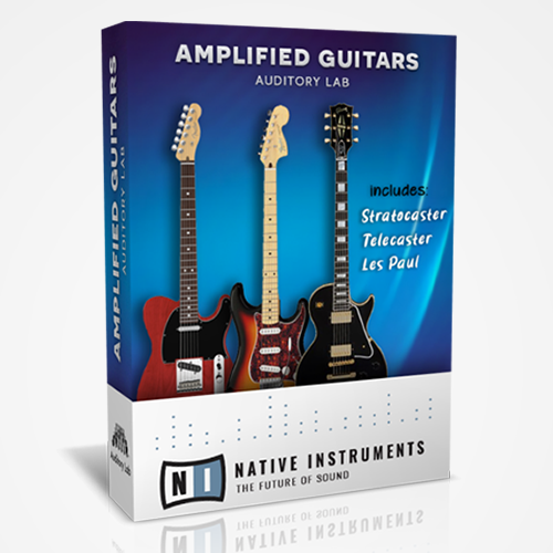 Amplified Guitars
